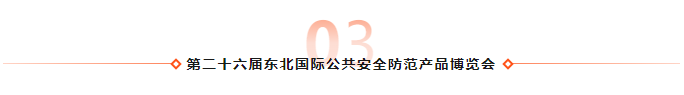 03.png