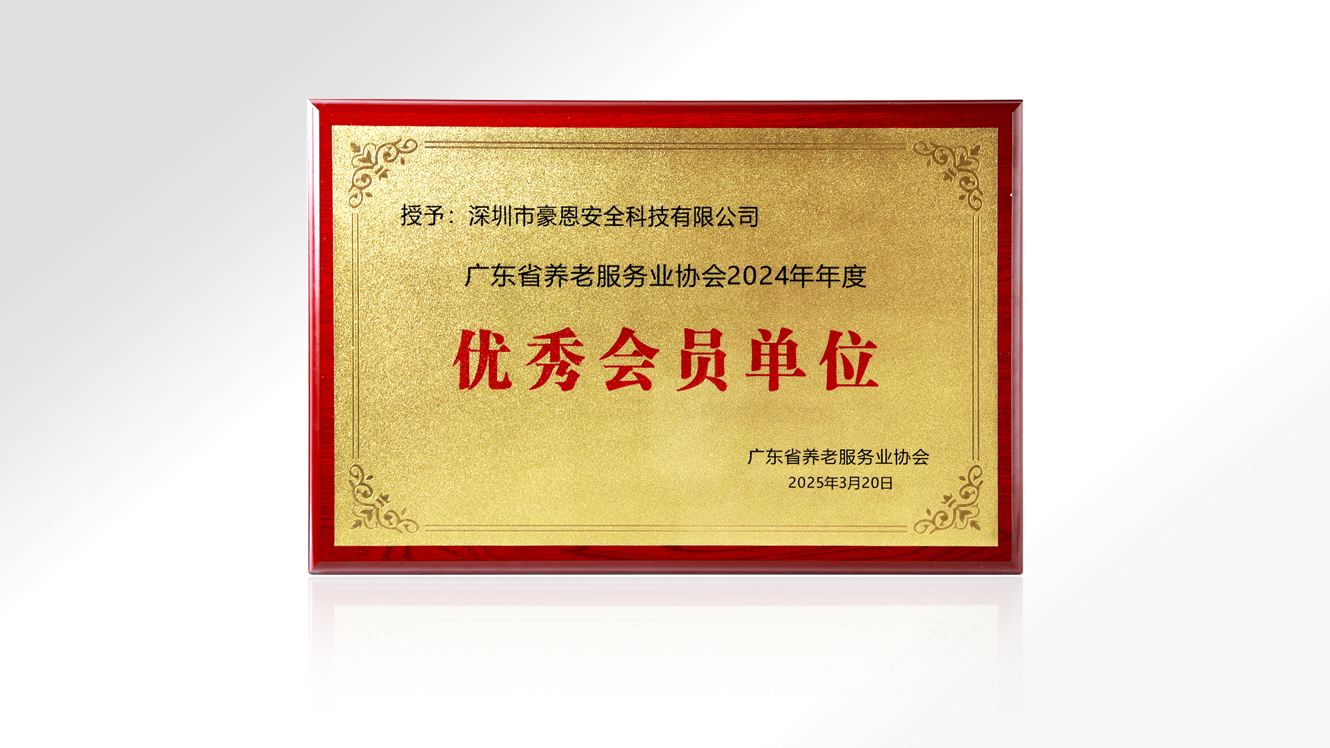 廣東省養(yǎng)老服務(wù)業(yè)協(xié)會2024年年度“優(yōu)秀會員單位”.jpg